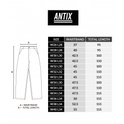 Antix Atlas Canvas Pants Navy